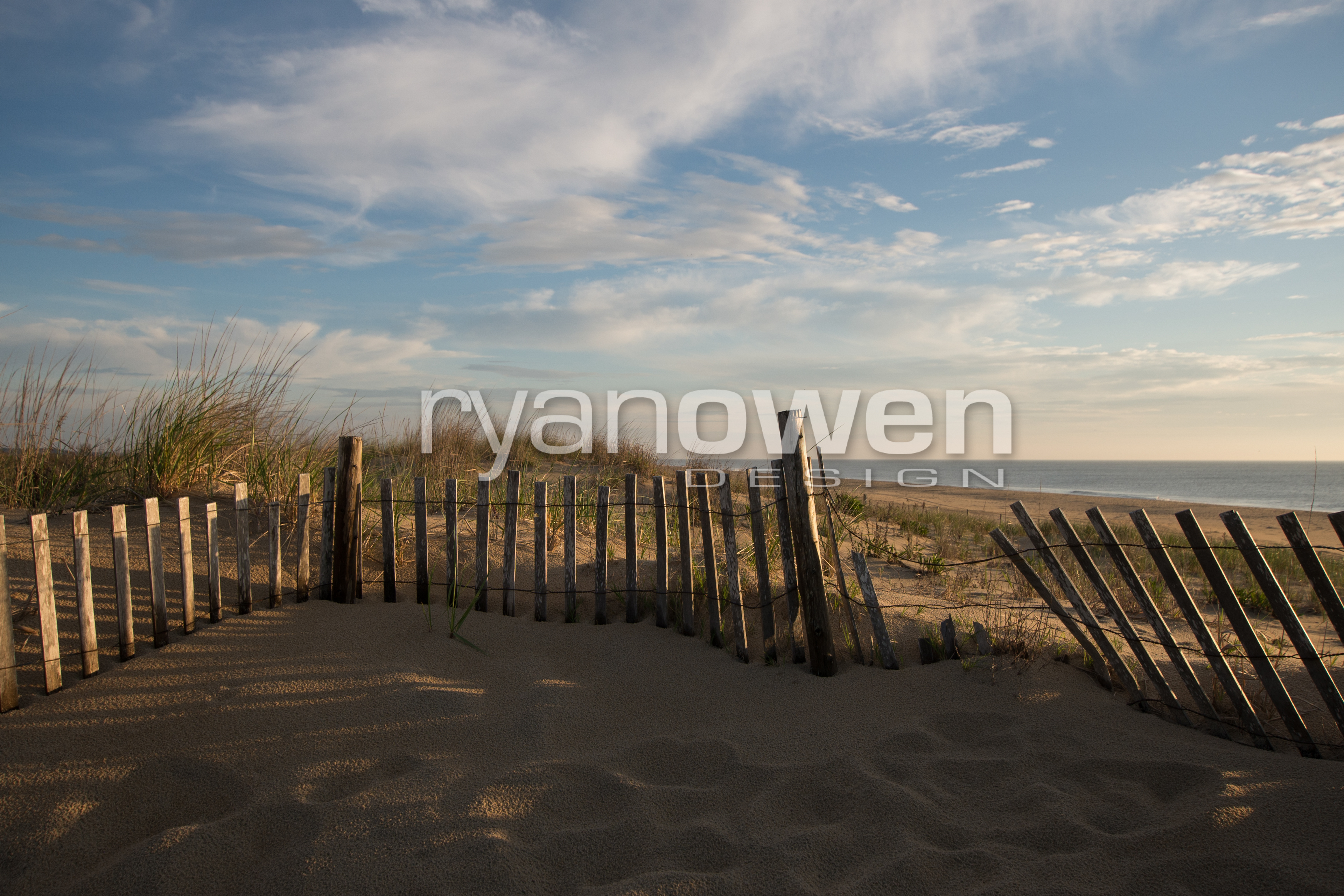 Fenwick Island dunes